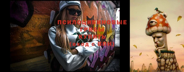 mdpv Алексин